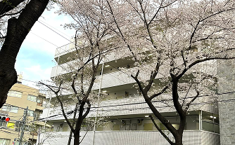 品川区旗の台｜クレストラフィーネ旗の台